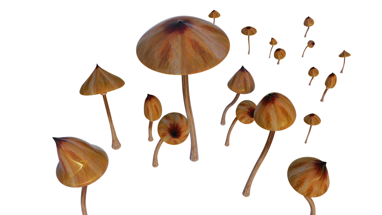 mushrooms